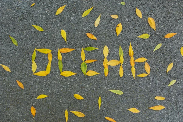 Jesienią słowo w języku rosyjskim, wykonane z liści w tle asfaltu. — Zdjęcie stockowe