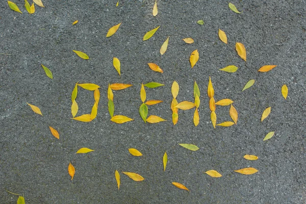 Το φθινόπωρο λέξη στη ρωσική γλώσσα που κατασκευάζονται από φύλλα στο υπόβαθρο για άσφαλτο. — Φωτογραφία Αρχείου