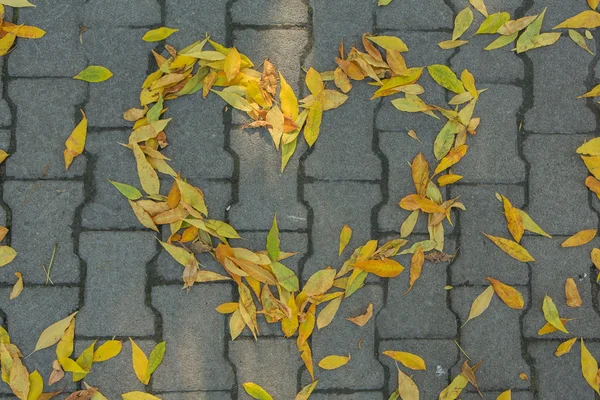 Serce składa się z kolorowych liści — Zdjęcie stockowe