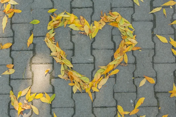 Corazón hecho de hojas coloridas — Foto de Stock