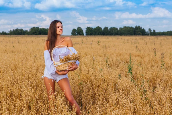 Rural Countryside Scene Young Beautiful Woman Long Hair Dressed White — Stock Photo, Image