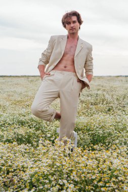 Papatya çiçeği tarlasında sandalyede duran uzun boylu yakışıklı adam.