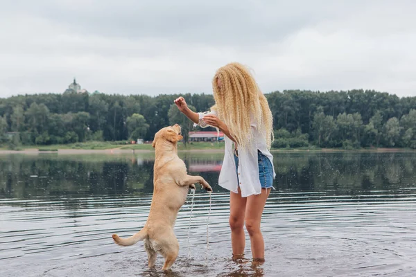 Jong Mooi Vrouw Met Blond Krullend Haar Spelen Met Haar — Stockfoto