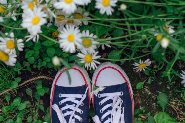 Kırmızı spor ayakkabılı kadın ayakları çimlerin üzerinde duran papatya çiçekleri.