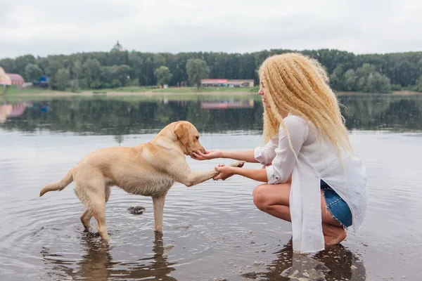 若いです美しいです女性とともにブロンド巻き毛の再生とともに彼女のラブラドール取得犬で川 — ストック写真