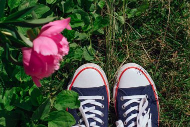 Kırmızı spor ayakkabılı bir kadının ayakları çimlerin üzerinde duran pembe şakayıklı ayakkabılar. Üst görünüm.