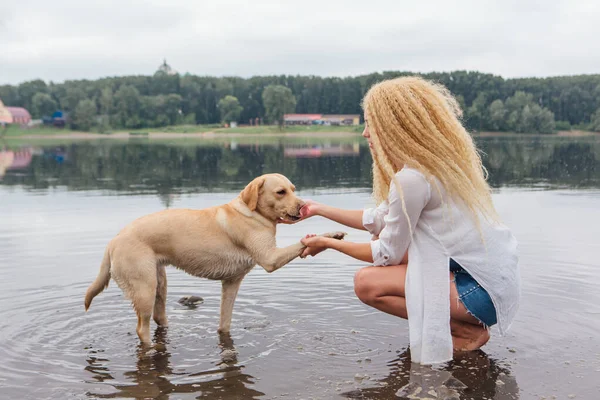 若いです美しいです女性とともにブロンド巻き毛の再生とともに彼女のラブラドール取得犬で川 — ストック写真