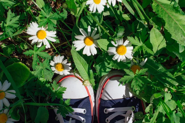 Woman Feet Red Sneakers Shoes Standing Grass Growing Camomile Flowers — Stock Photo, Image