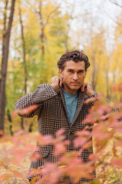 Kahverengi ceketli uzun boylu yakışıklı bir adam sonbahar sokağında yürüyor ve çalıların yanında kırmızı yapraklarla poz veriyor..