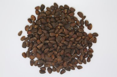 Çam fıstığı beyaz arkaplanda izole