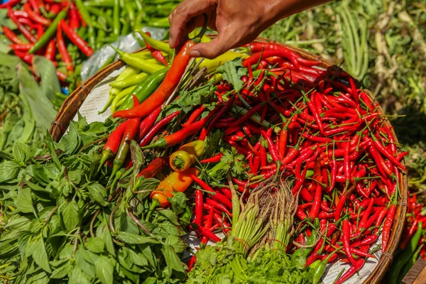 Červené chilli papričky, detailní pohled — Stock fotografie