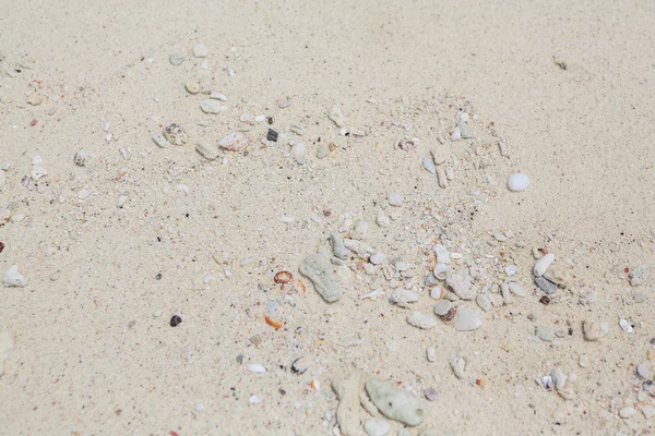 Textur aus Sand, Muscheln und Steinen. — Stockfoto