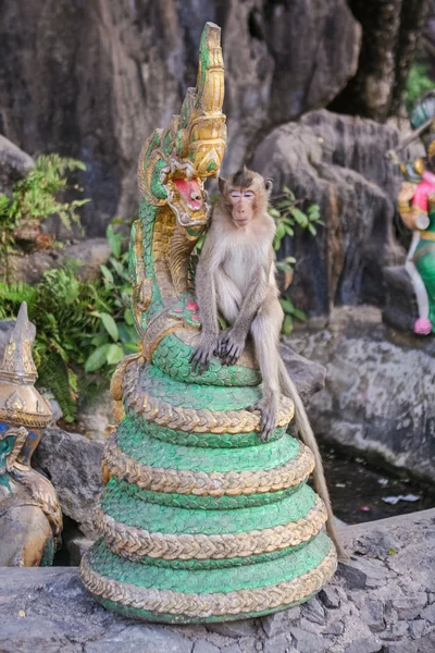 Monkey seats on the statue — Stock Photo, Image