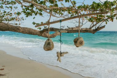 El işi mercan asmak Kuru