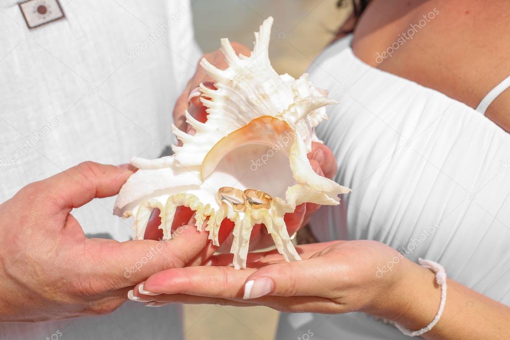 Wedding rings inside of a seashell
