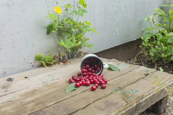 Cerezas en una taza de hierro —  Fotos de Stock