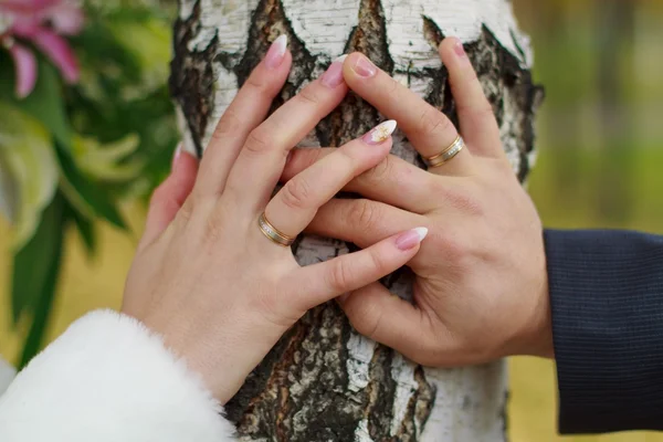 Mãos de homem e mulher com anéis de casamento — Fotografia de Stock