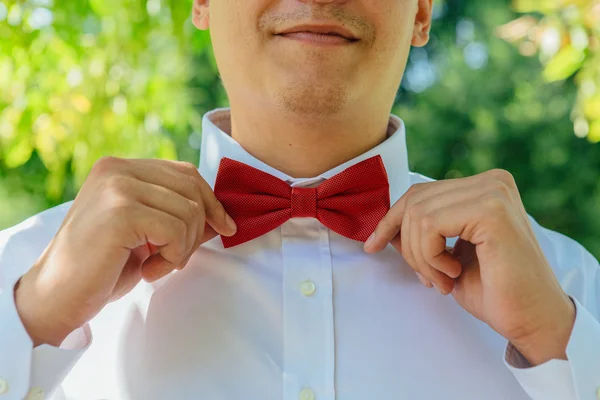 Red bow tie close up