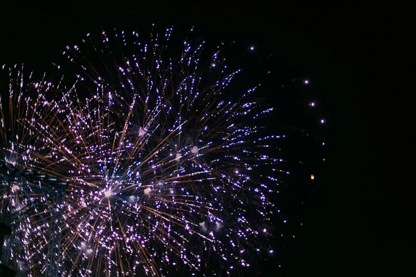 Belos fogos de artifício coloridos férias . — Fotografia de Stock