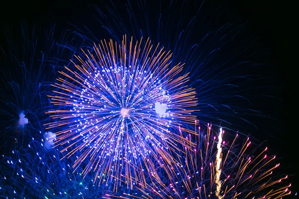 Belos fogos de artifício coloridos férias . — Fotografia de Stock