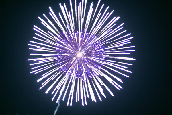 Bellissimi fuochi d'artificio colorati vacanza . — Foto Stock