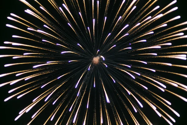 Belos fogos de artifício coloridos férias . — Fotografia de Stock