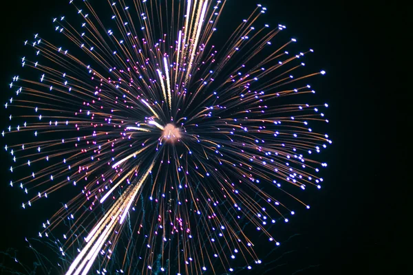 Belos fogos de artifício coloridos férias . — Fotografia de Stock