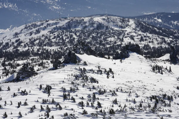 Schöne Winterlandschaft. — Stockfoto