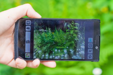 Kadın el alarak resim akıllı telefon ile.