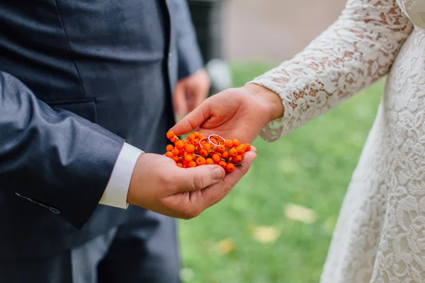 Snubní prsteny na bobulí jeřabin — Stock fotografie