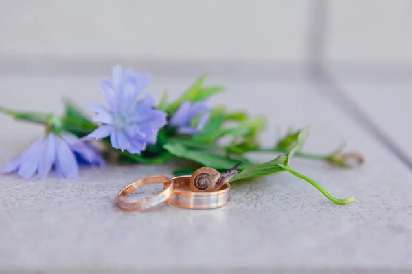 Anneaux de mariage avec escargot sur les feuilles — Photo