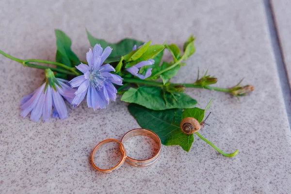 Anéis de casamento com caracol nas folhas — Fotografia de Stock