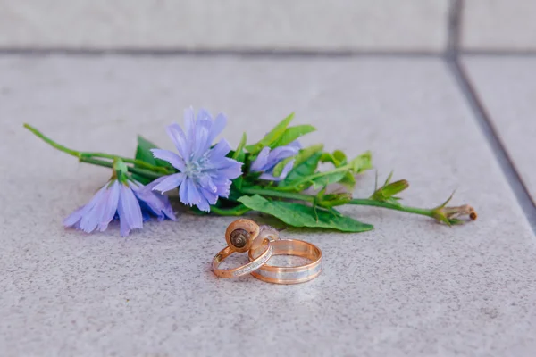 Anéis de casamento com caracol nas folhas — Fotografia de Stock