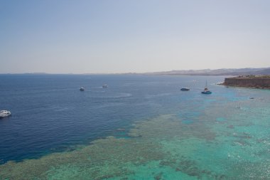 Red Sea'deki/daki büyük beyaz tekne.