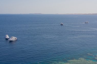 Red Sea'deki/daki büyük beyaz tekne.