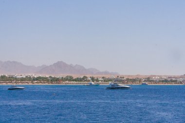 Red Sea'deki/daki büyük beyaz tekne.