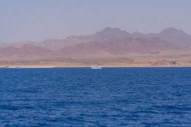 Red Sea'deki/daki büyük beyaz tekne.