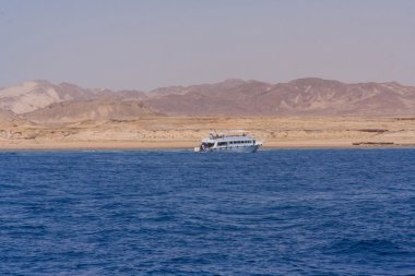 Red Sea'deki/daki büyük beyaz tekne.
