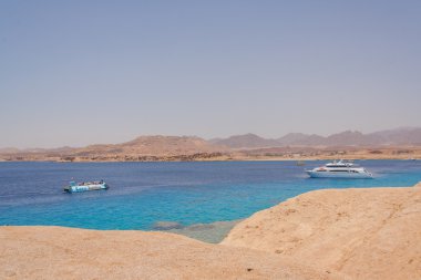 Red Sea'deki/daki büyük beyaz tekne.