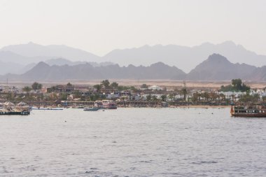 Mısır'daki kayalık plaj.