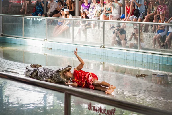 Thailändische Krokodilshow. — Stockfoto