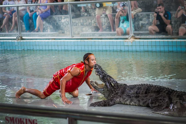 Thailändische Krokodilshow. — Stockfoto