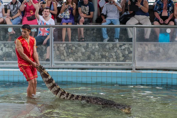 Thailändische Krokodilshow. — Stockfoto