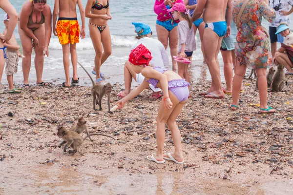 Mono. Macaco come cangrejos. Asia Tailandia — Foto de Stock