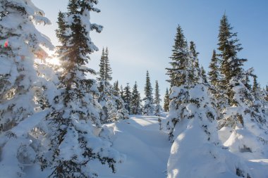 Güzel kış manzarası.