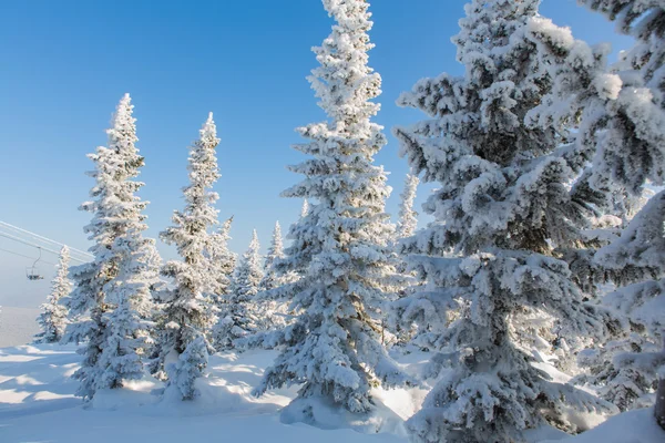 Linda paisagem de inverno. — Fotografia de Stock