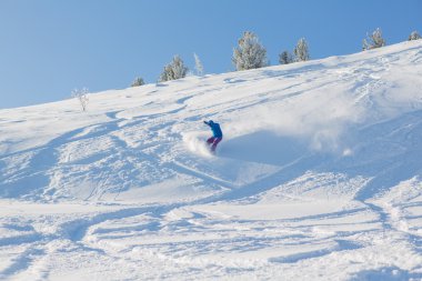 snowboard binme taze kar