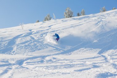 snowboard binme taze kar