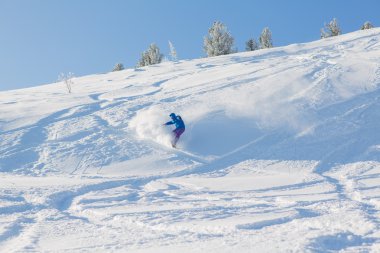 snowboard binme taze kar