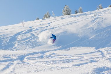 snowboard binme taze kar